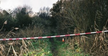 yvette looijs true crime dossiers